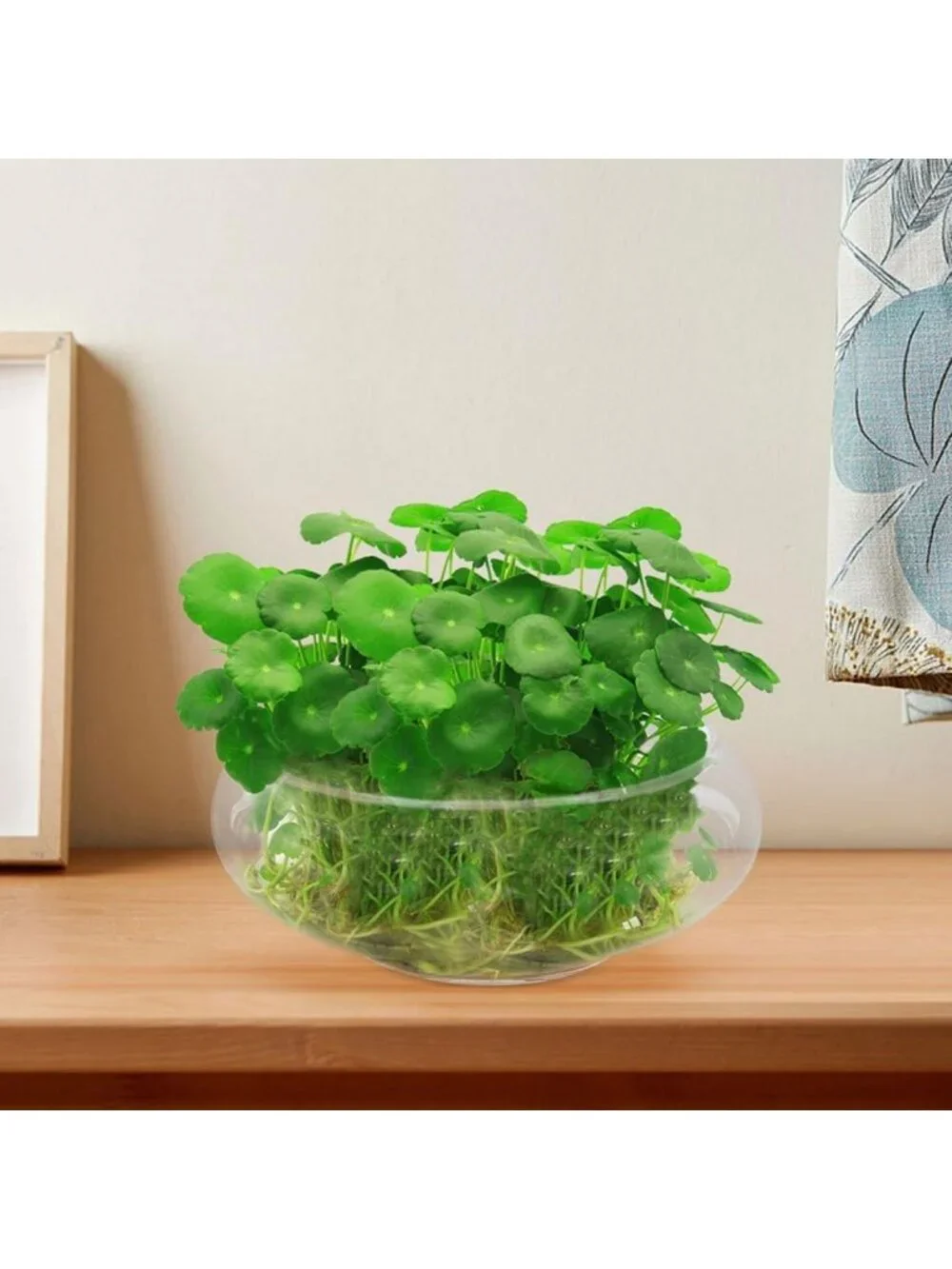10-Inch Clear Glass Bowl - Large Round Planter for Plants, Centerpiece